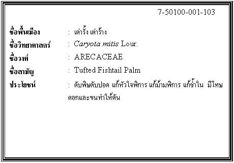 กล่องข้อความ: 7-50100-001-103 ชื่อพื้นเมือง : เต่ารั้ง เต่าร้าง ชื่อวิทยาศาสตร์ : Caryota mitis Lour. ชื่อวงศ์ : ARECACEAE ชื่อสามัญ : Tufted Fishtail Palm ประโยชน์ : ดับพิษตับปอด แก้หัวใจพิการ แก้ม้ามพิการ แก้ช้ำใน มีโทษ ดอกและขนทำให้คัน